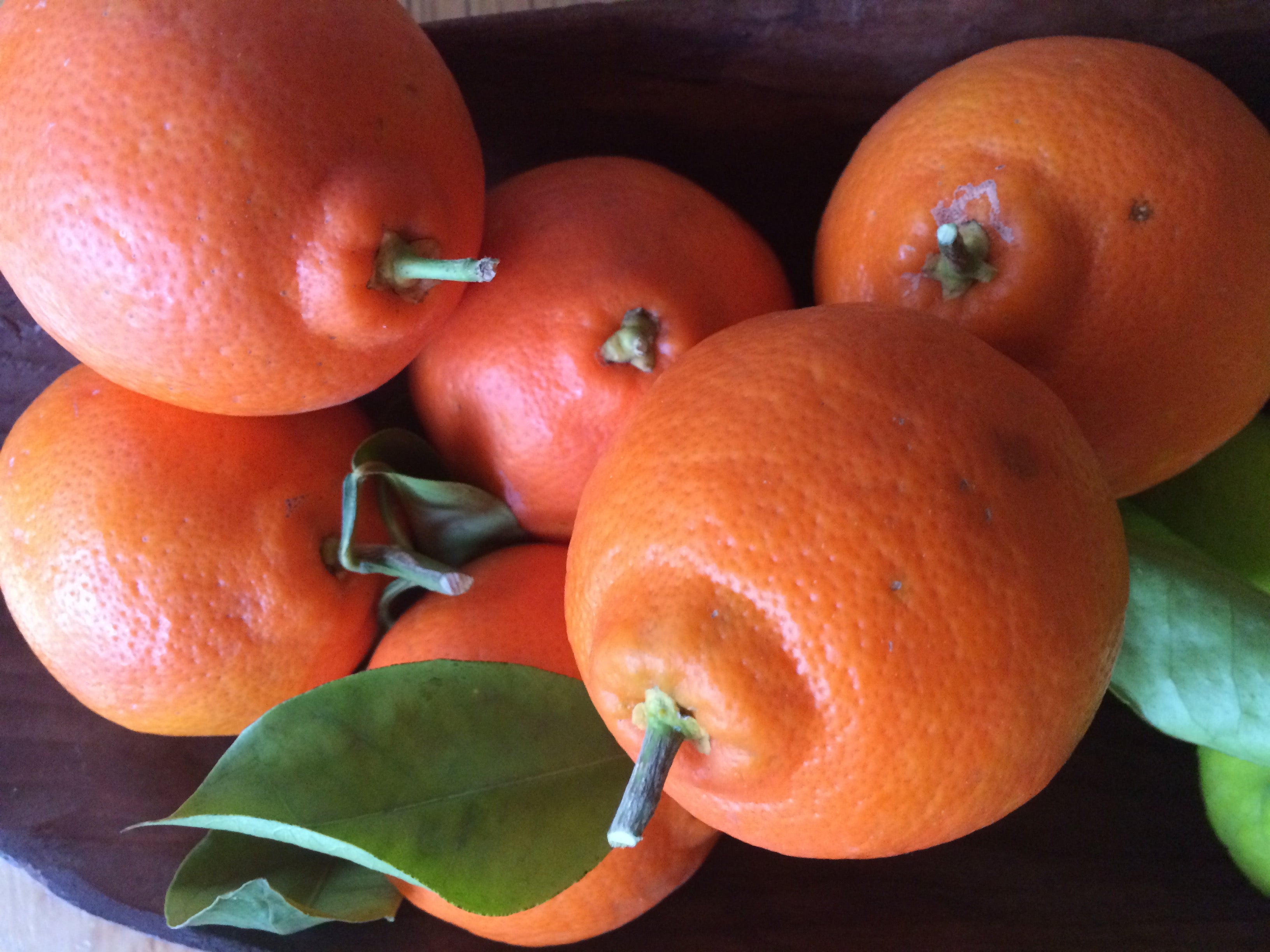 Tangelo and Grapefruit Bitters